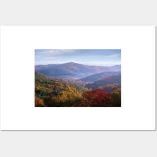 Autumn Deciduous Forest From The Blue Ridge Parkway North Carolina Posters and Art